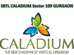 Caladium